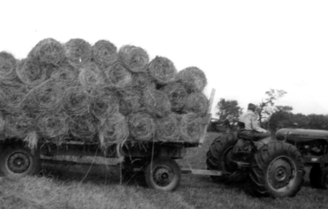 Wayne or Harry Watson with tractor and wagon of small round bales of hay